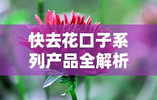 快去花口子系列产品全解析