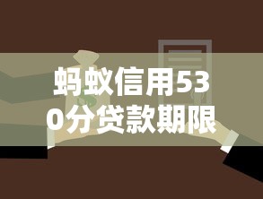 蚂蚁信用530分贷款期限选择技巧