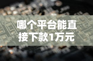 哪个平台能直接下款1万元