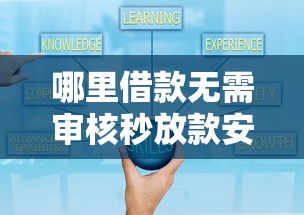 哪里借款无需审核秒放款安全可靠
