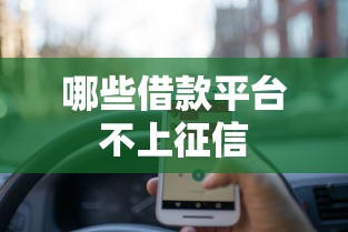 哪些借款平台不上征信