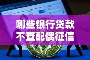 哪些银行贷款不查配偶征信