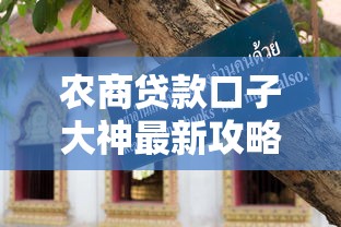 农商贷款口子大神最新攻略指南