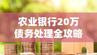 农业银行20万债务处理全攻略