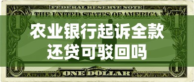 农业银行起诉全款还贷可驳回吗