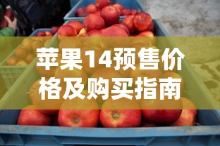 苹果14预售价格及购买指南