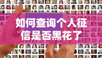 如何查询个人征信是否黑花了