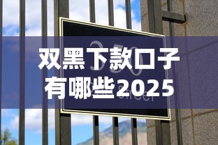 双黑下款口子有哪些2025最新能过的