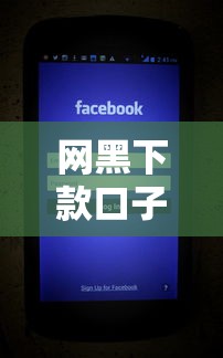 网黑下款口子哪个靠谱能下款