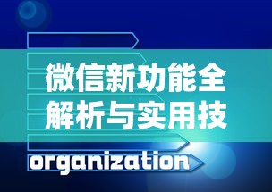 微信新功能全解析与实用技巧