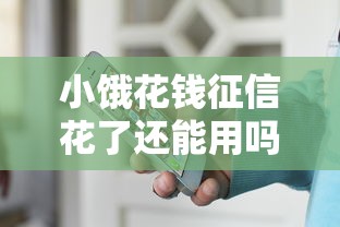 小饿花钱征信花了还能用吗