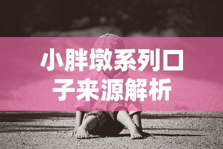 小胖墩系列口子来源解析
