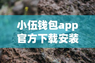 小伍钱包app官方下载安装最新版