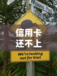 信用卡还不上后果及应对方法