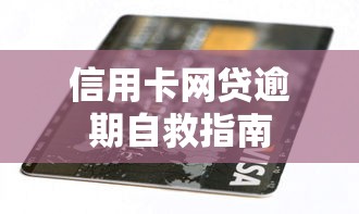 信用卡网贷逾期自救指南