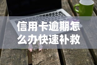 信用卡逾期怎么办快速补救指南