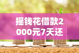 摇钱花借款2000元7天还2980元