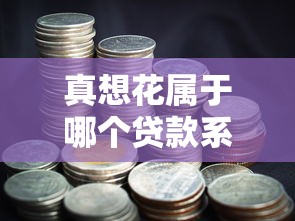 真想花属于哪个贷款系列口子