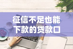 征信不足也能下款的贷款口子