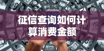 征信查询如何计算消费金额