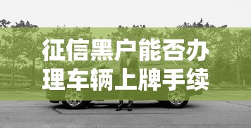 征信黑户能否办理车辆上牌手续