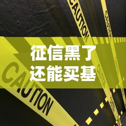 征信黑了还能买基金吗影响解析