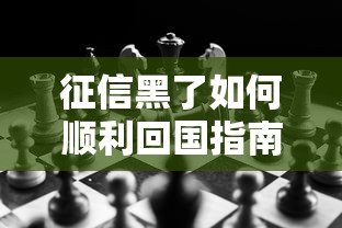 征信黑了如何顺利回国指南
