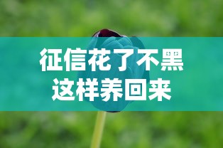 征信花了不黑这样养回来