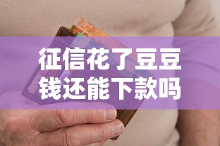 征信花了豆豆钱还能下款吗