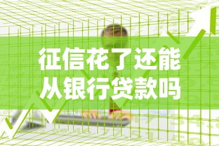 征信花了还能从银行贷款吗