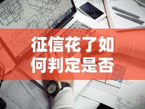 征信花了如何判定是否黑户