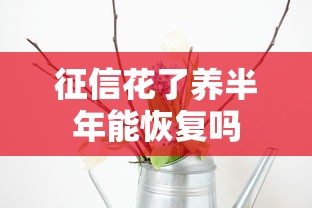 征信花了养半年能恢复吗