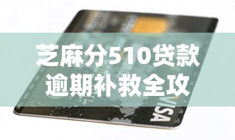 芝麻分510贷款逾期补救全攻略