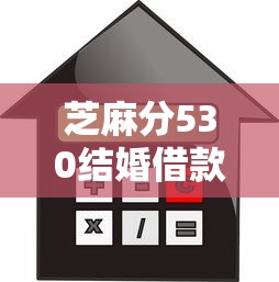 芝麻分530结婚借款平台推荐