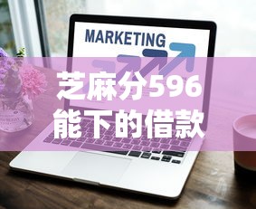 芝麻分596能下的借款口子推荐