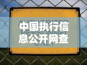 中国执行信息公开网查询指南