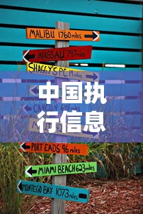 中国执行信息公开网免费查询指南