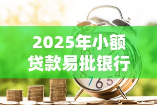2025年小额贷款易批银行推荐