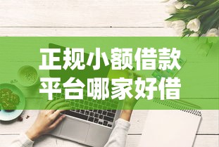 正规小额借款平台哪家好借钱快
