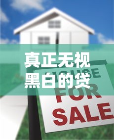 真正无视黑白的贷款口子揭秘