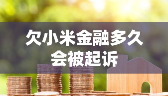 欠小米金融多久会被起诉
