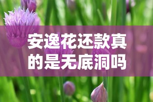 安逸花还款真的是无底洞吗