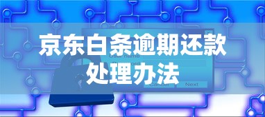 京东白条逾期还款处理办法