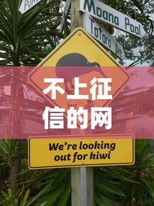 不上征信的网贷是否合法解析