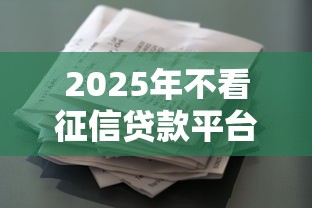 2025年不看征信贷款平台