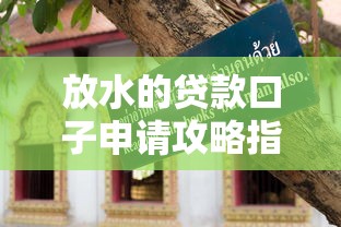 放水的贷款口子申请攻略指南