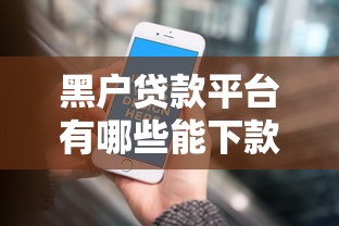 黑户贷款平台有哪些能下款