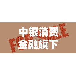 中银消费金融旗下小贷平台全解析