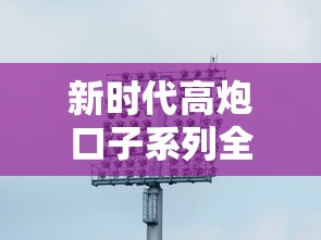 新时代高炮口子系列全解析