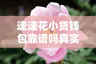速速花小贷钱包靠谱吗真实评测